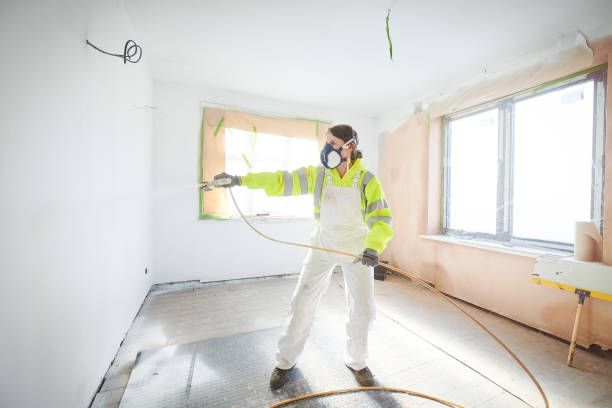 Best Ceiling Drywall Installation  in Stockton, MO