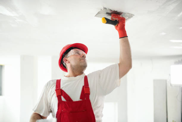 Best Eco-Friendly and Low-VOC Painting  in Stockton, MO