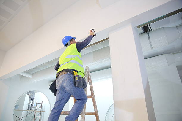 Best Ceiling Drywall Installation  in Stockton, MO