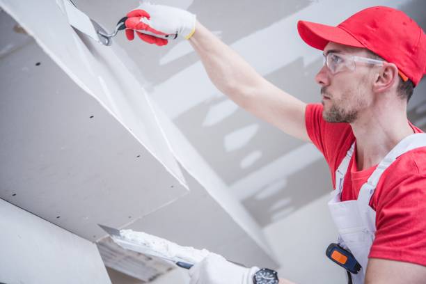 Best Drywall Sanding and Smoothing  in Stockton, MO